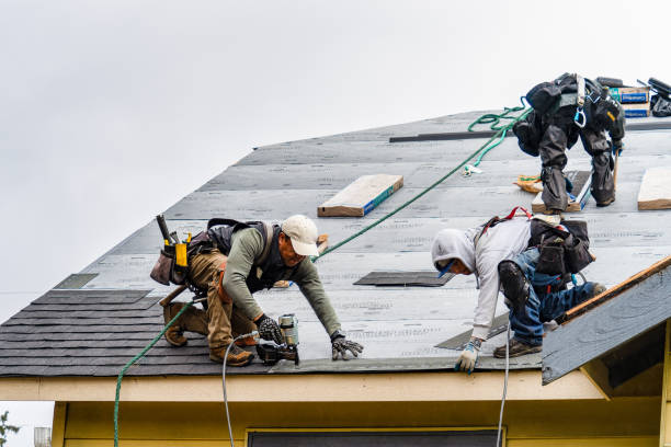 Professional Flat Roof Repair technician working in Collins, WI